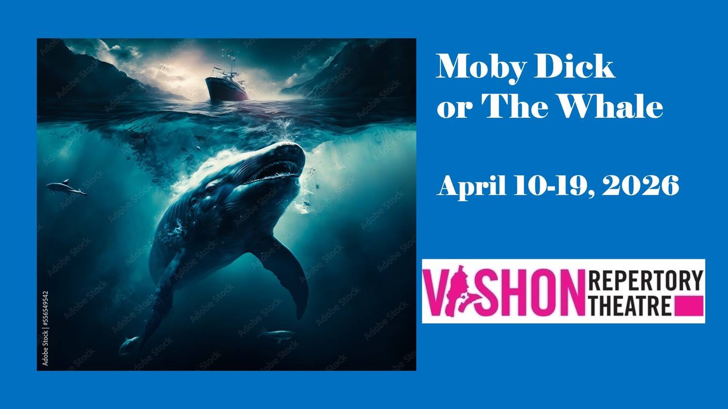 VRT | Moby Dick